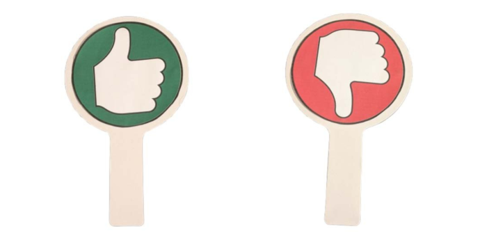 ‘thumbs up/ thumbs down’ paddles
